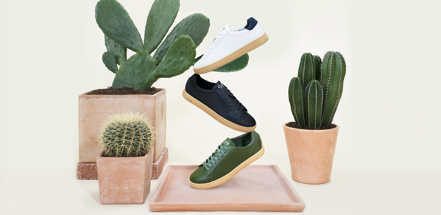 Bradley Cactus