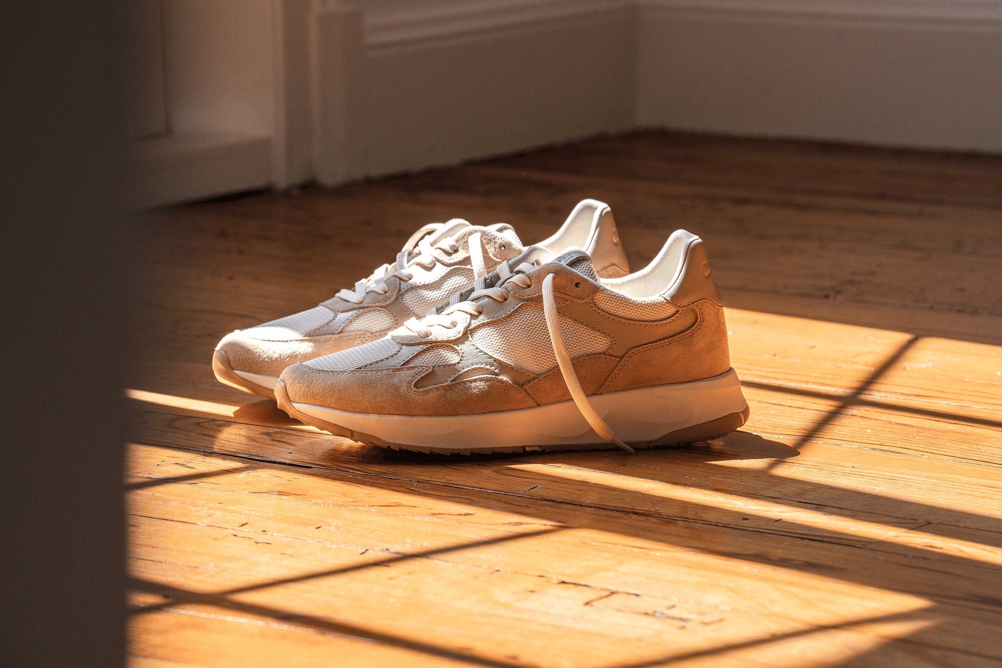 Zuma – CLAE