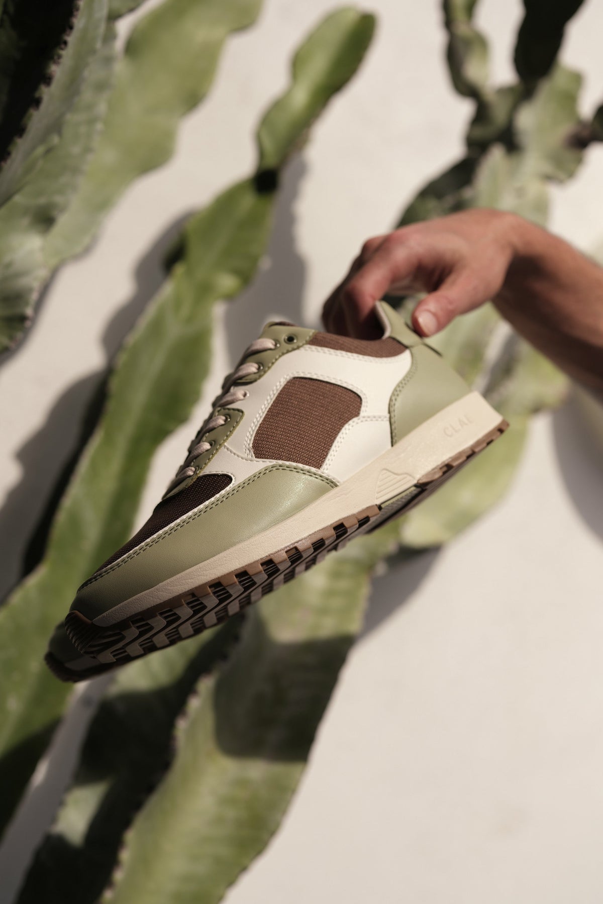 JOSHUA CACTUS - CLAE