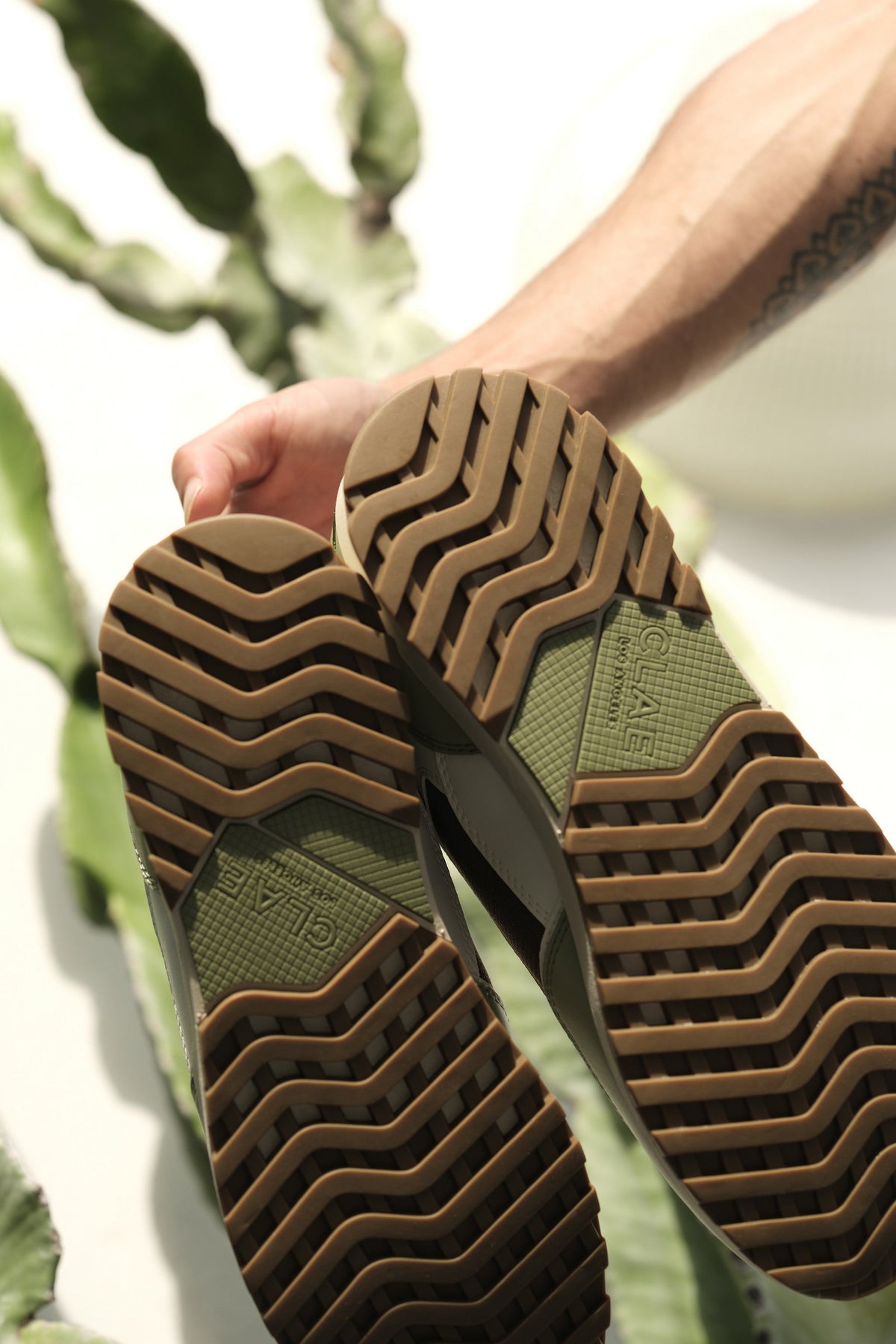 JOSHUA CACTUS - CLAE