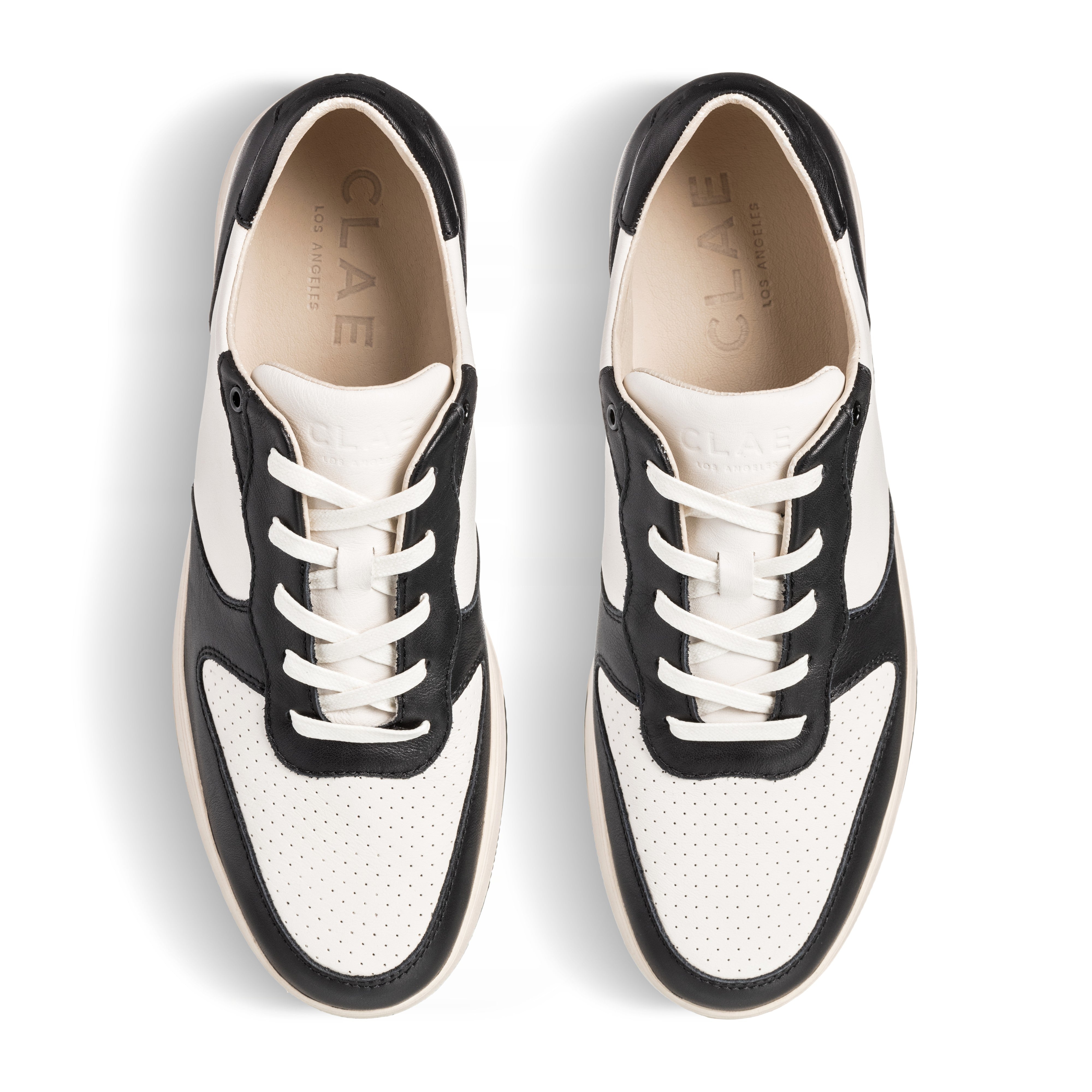 MALONE - CLAE